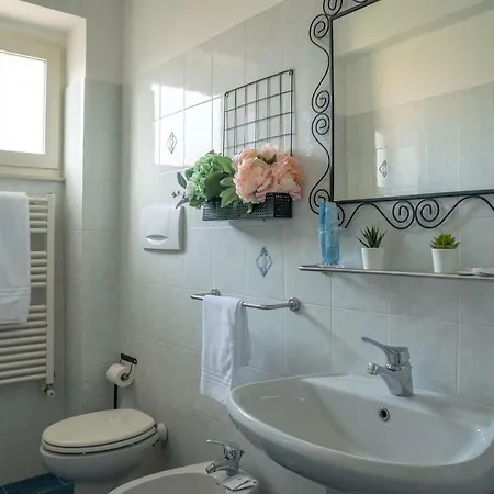 La Coccinella Nyaraló *